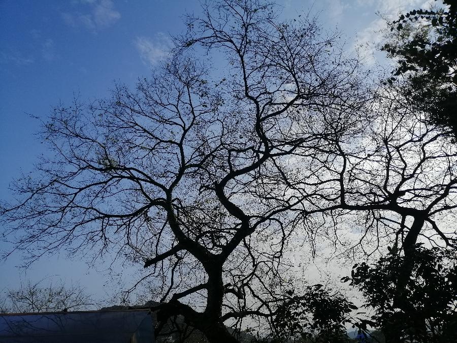 祝君平安（一一送给人生中真挚的朋友）文／江冲（图3）