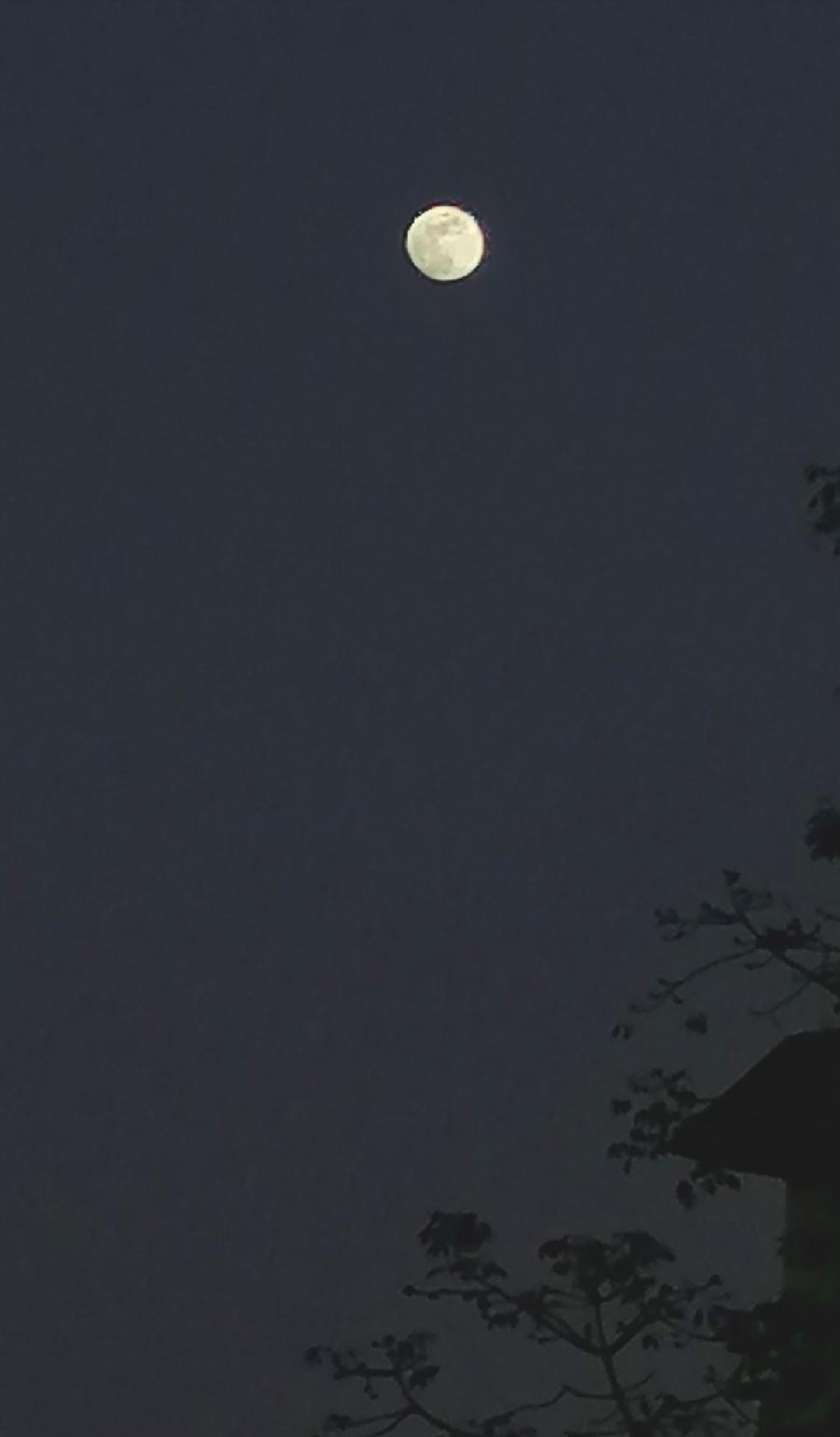 祝君平安（一一送给人生中真挚的朋友）文／江冲（图7）