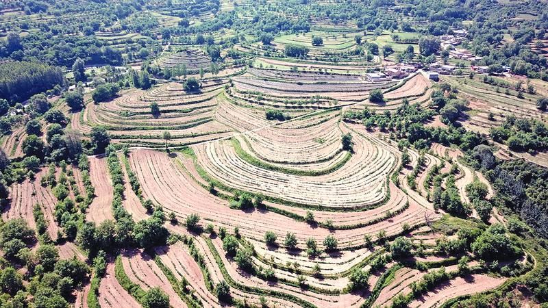 经典合诵《我的八百里秦川》（图7）