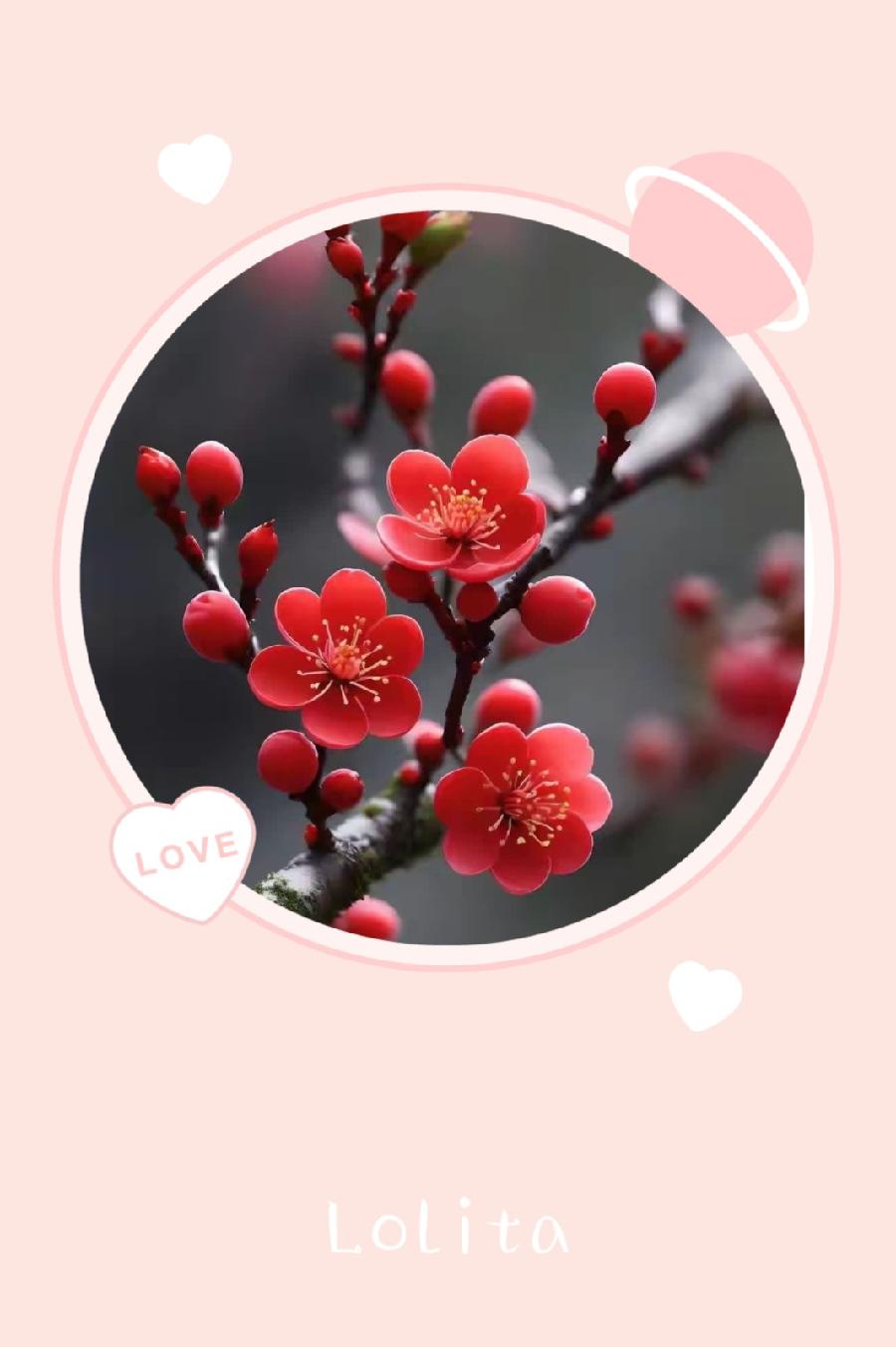 辞旧迎新待春风(图2)