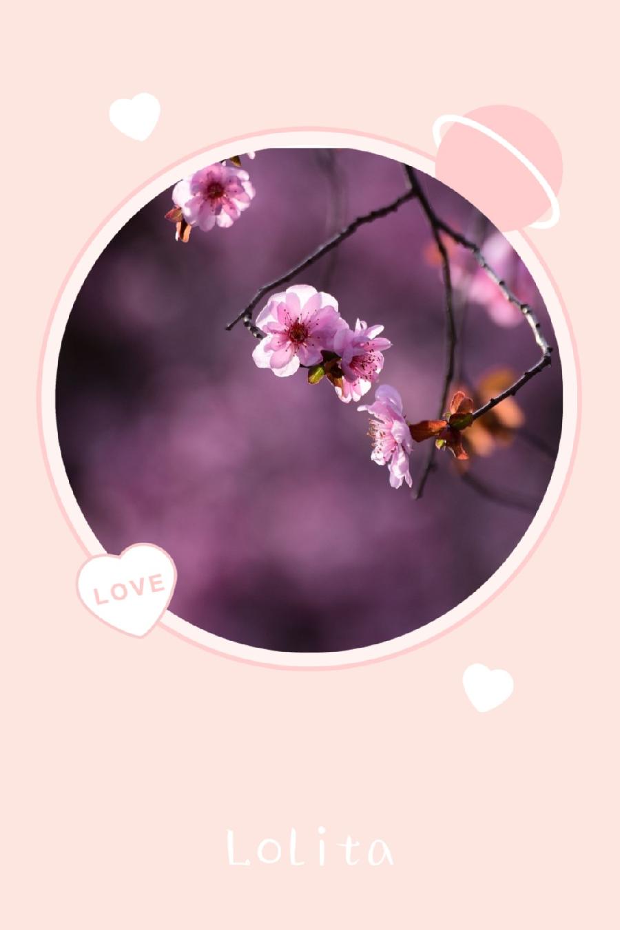 辞旧迎新待春风(图3)