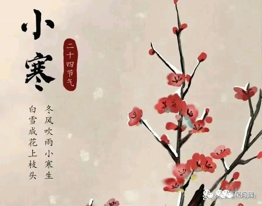 刘锁海诗·词现代诗四首（图4）