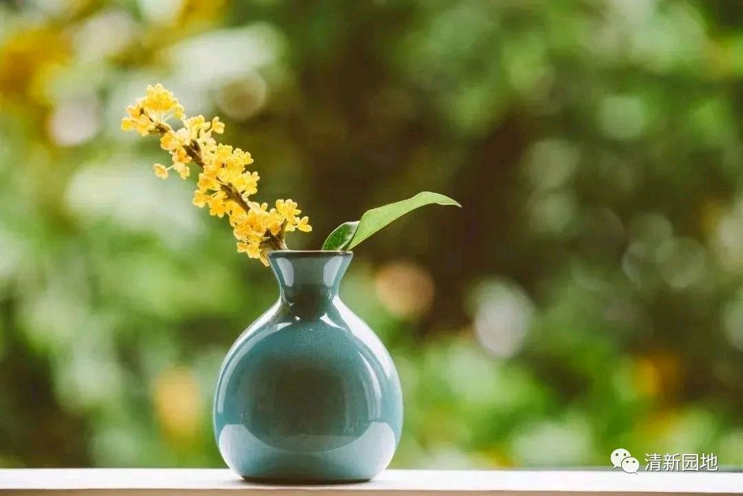 血液的影子 文/林水火（福建）（图3）
