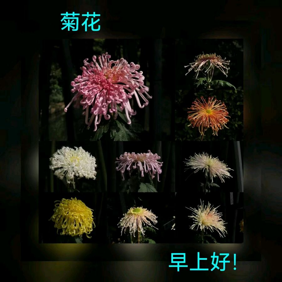 联机全球发布马洪武作品欣赏（图278）