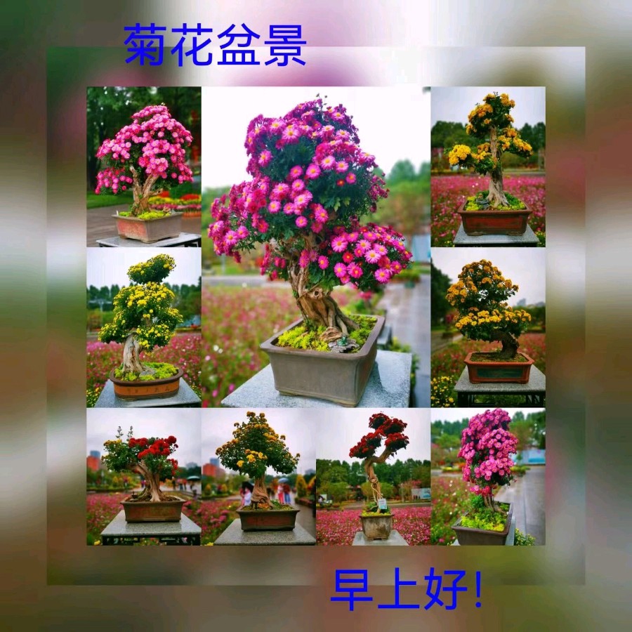 联机全球发布马洪武作品欣赏（图279）