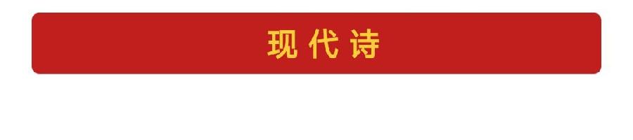 中华诗艺社【黑龙江分社】微刊第303期（图4）