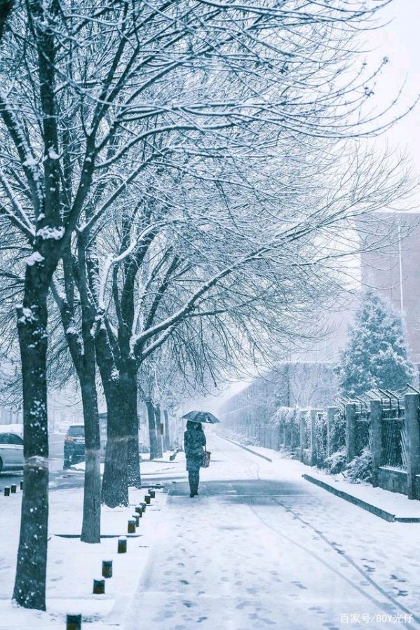 请欣赏安玉茹老师的作品《冰雪奇缘》主播//祥云 编辑//海纳百川【第7318期】（图3）