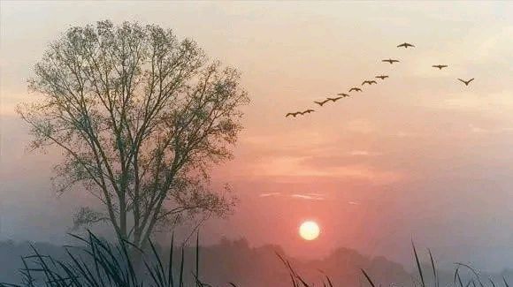 弘华朗诵【黄昏】作者/海韵（图6）