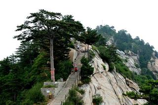 联机全球发布张志作品欣赏（图90）