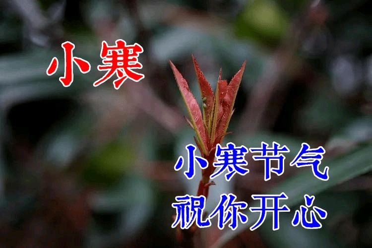 【重磅推出 新年感怀】“农民诗人”曹南强//元旦祝福“系列作品展”（图10）