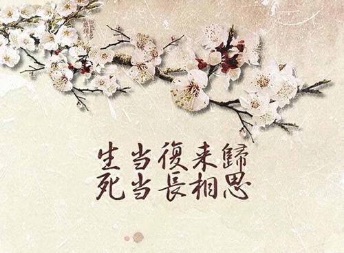 【重磅推出 新年感怀】“农民诗人”曹南强//元旦祝福“系列作品展”（图18）