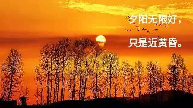 【重磅推出 新年感怀】“农民诗人”曹南强//元旦祝福“系列作品展”（图20）