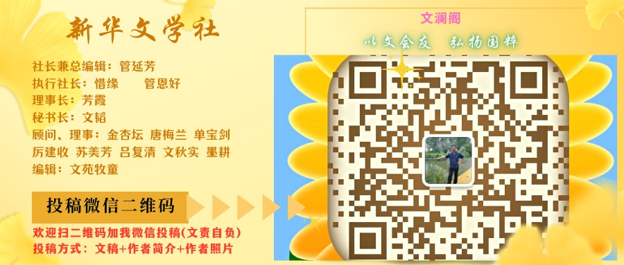 荐赏 精品诗歌《咏雪三章》/作者/贾巧蓮/《新华文学社》个人专辑/编辑:文苑牧童/都市头条（图8）