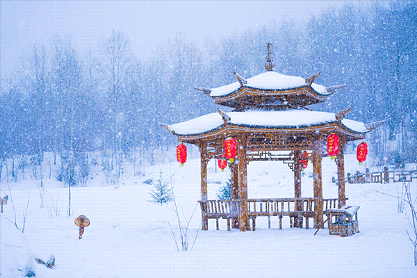 荐赏 精品诗歌《咏雪三章》/作者/贾巧蓮/《新华文学社》个人专辑/编辑:文苑牧童/都市头条（图3）