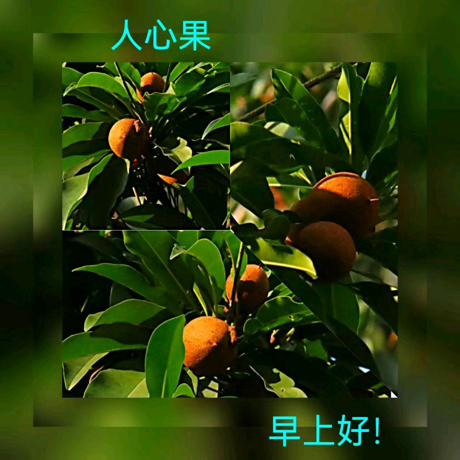 联机全球发布马洪武作品欣赏（图274）