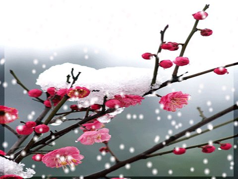 张昕律诗四首（图7）