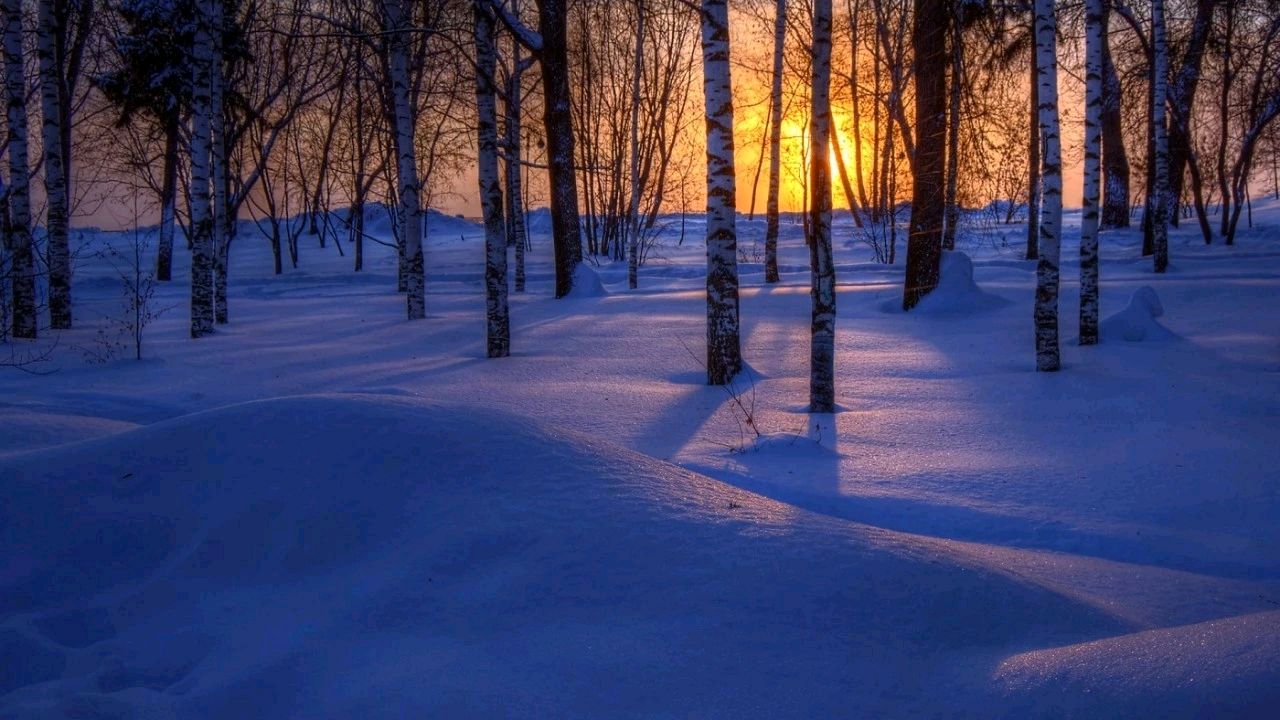爱玲朗诵【夕阳西斜】作者/张景林（图8）