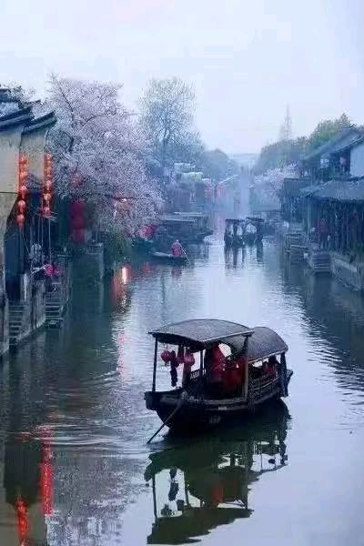 联机全球发布张志作品欣赏（图89）