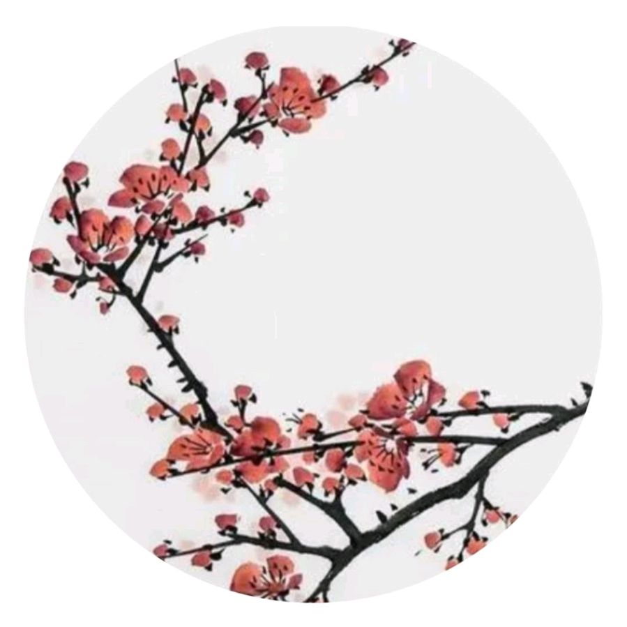 咏梅花 (古诗词)~收藏学习作品20篇（图21）