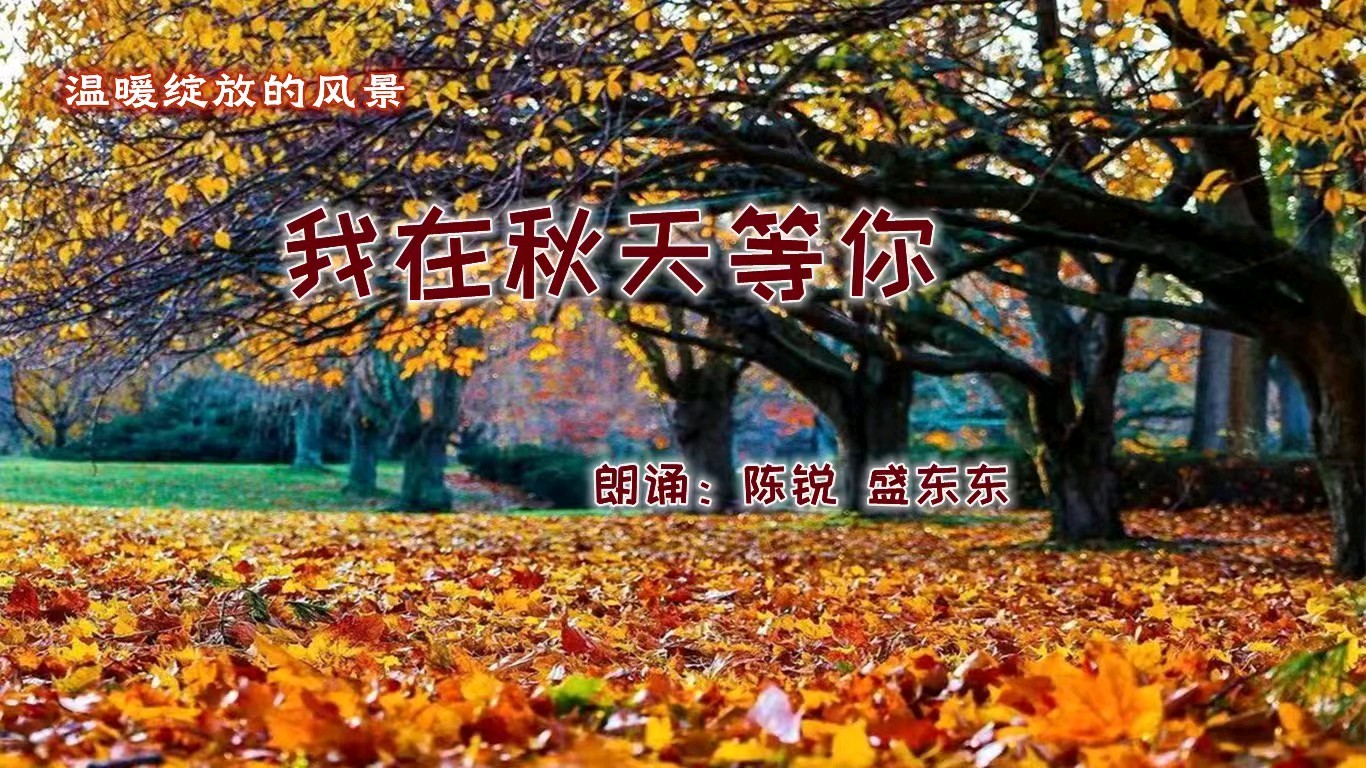 我在秋天等你/作者:张守军诵读:陈锐 盛东东(图2)