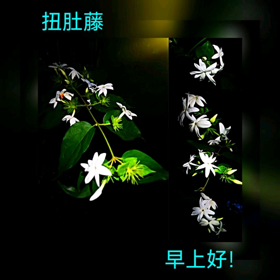 联机全球发布马洪武作品欣赏（图271）
