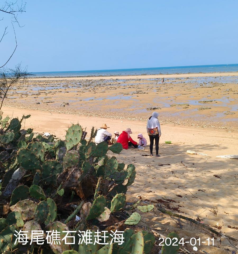 昌江海尾礁石滩赶海～诗||李耀文（图18）