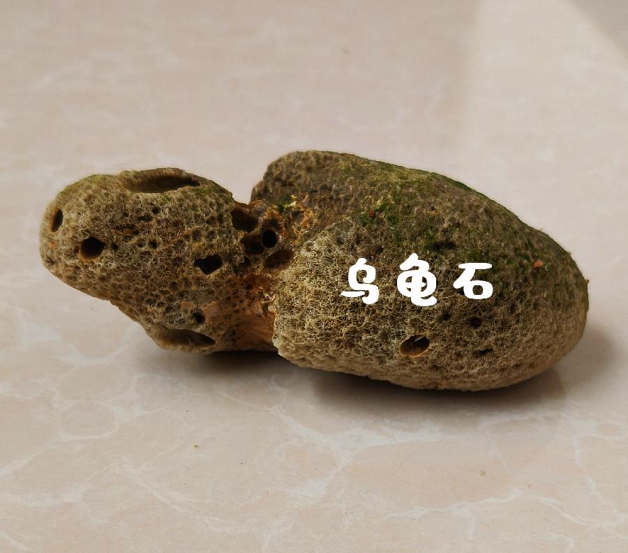 昌江海尾礁石滩赶海～诗||李耀文（图17）