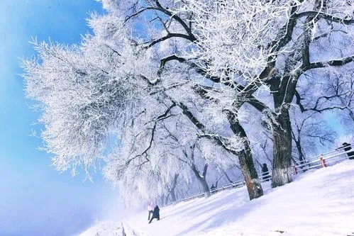 【明心文学】朱海明/梅雪华章诗词五题 主播/舒心快乐（图4）