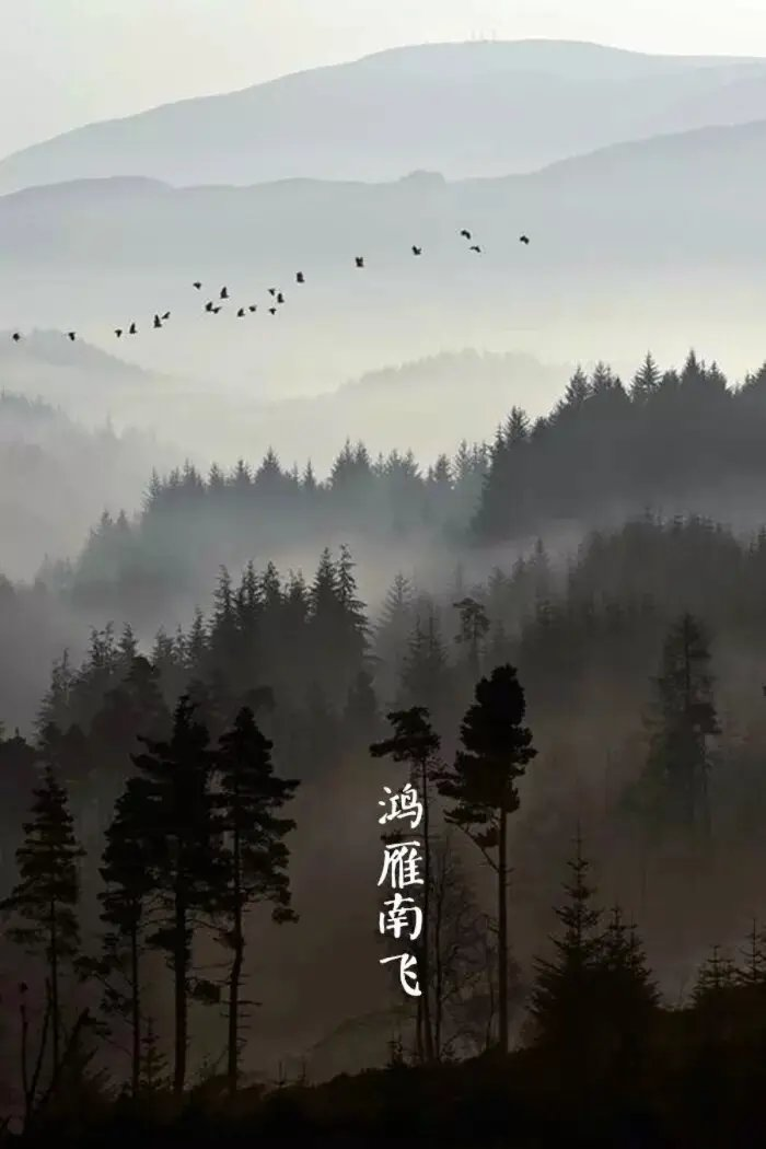 七绝-冬恋(组合)诗||白小文(图9)