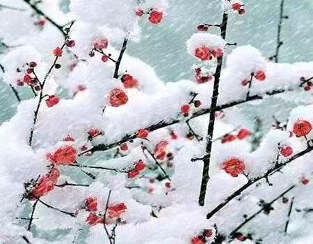 侯文香老师诗词欣赏