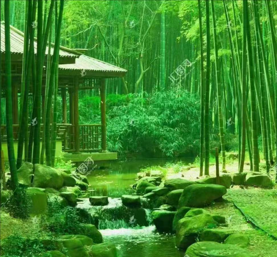 侯文香老师诗词欣赏（图7）