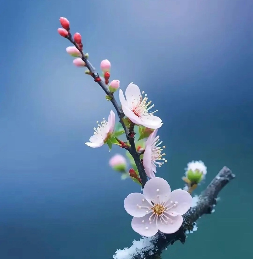 认知幸福||文/张道发（图2）