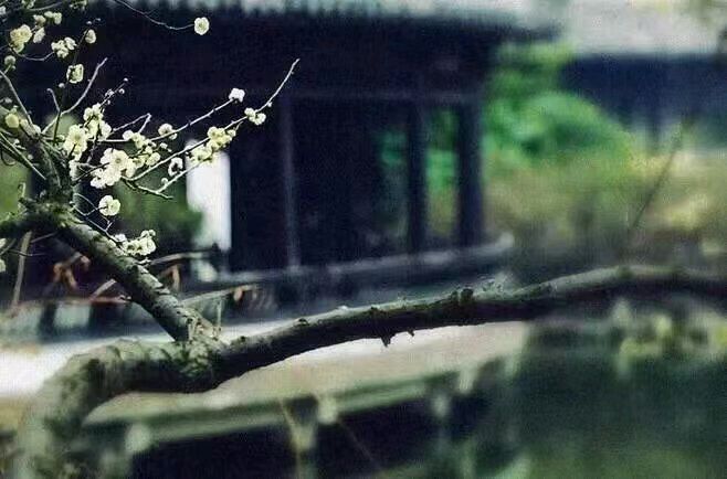 *诗词专辑*作者 胡向前〔湖北〕【冰心文化传媒】主编 冰心（图19）