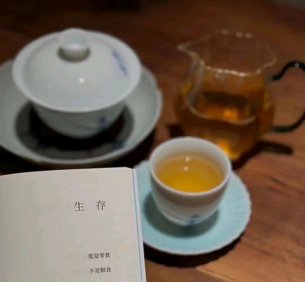 *诗词专辑*作者 胡向前〔湖北〕【冰心文化传媒】主编 冰心（图12）