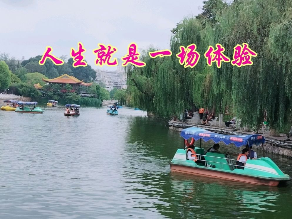 《九江文学社：北京头条》杨荣华老师近期诗词欣赏【总第1969期】（图4）