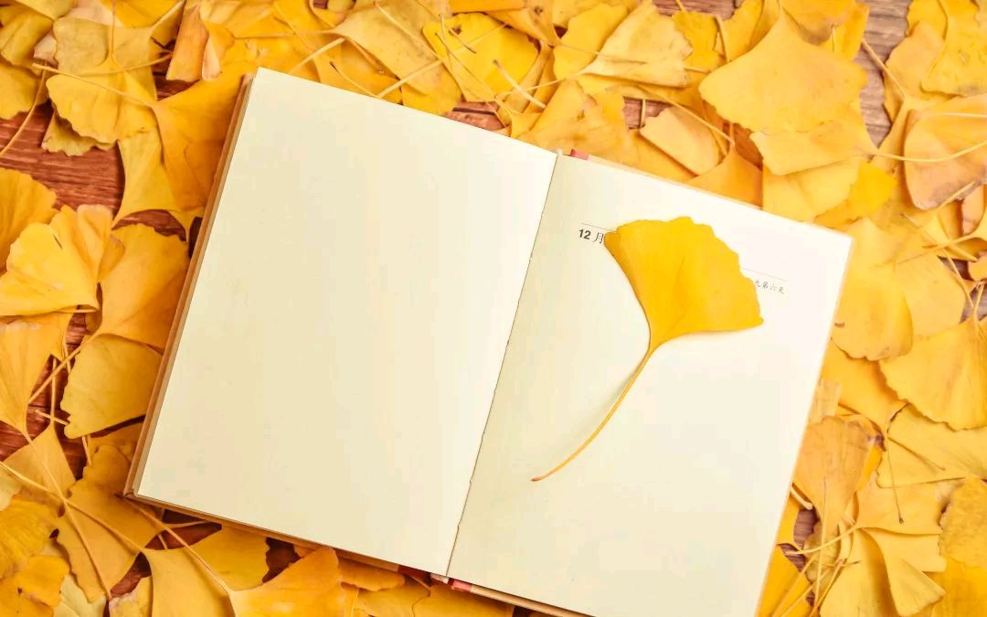 《亚洲诗艺特刊》张玉兰.诗选(图2)