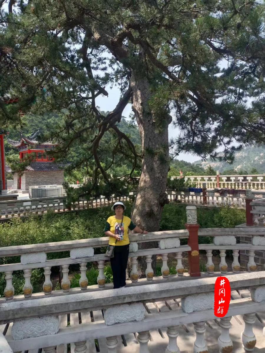 鹧鸪天-斗转星移万事空(组合)词||杜玉凤(图20)