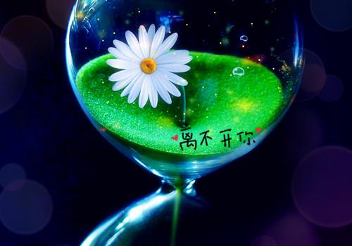 《时间去哪了》作者:杨咏椿【主播:青苗】【桃源国际诗歌文化传媒】用声音传递温暖以诵读致敬人生♬（图7）