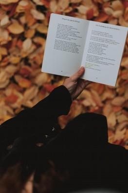 《翻阅旧稿》外一首‖作者:回泉山人【主播:孙春华】【中国现代诗歌文化传媒】徜徉诗的海洋聆听天籁之音♬（图4）