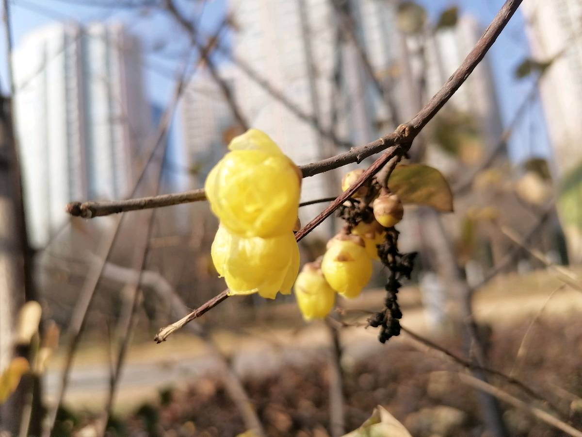 《倔老头的爱》