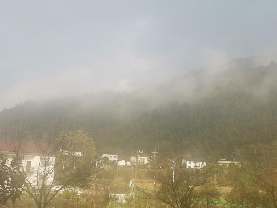 癸卯腊日见太阳雨（文/许碧霞）……莲叶之珠文学社