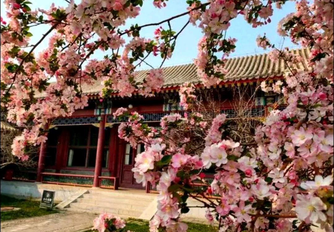 李映光：只见总理去 不见总理归（图3）