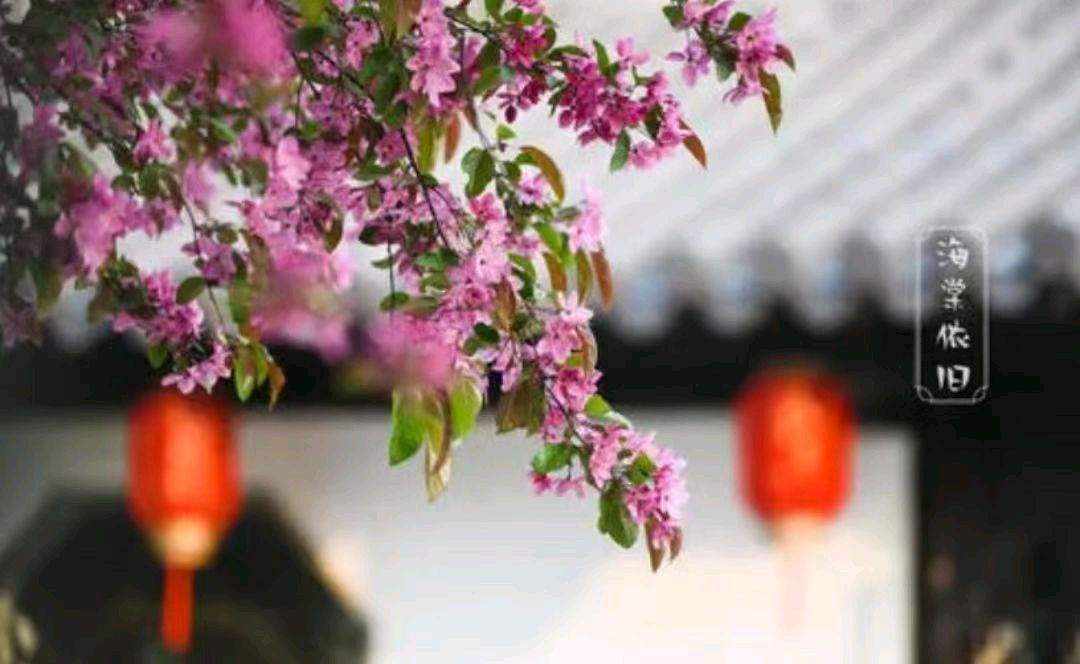 李映光：只见总理去 不见总理归（图5）