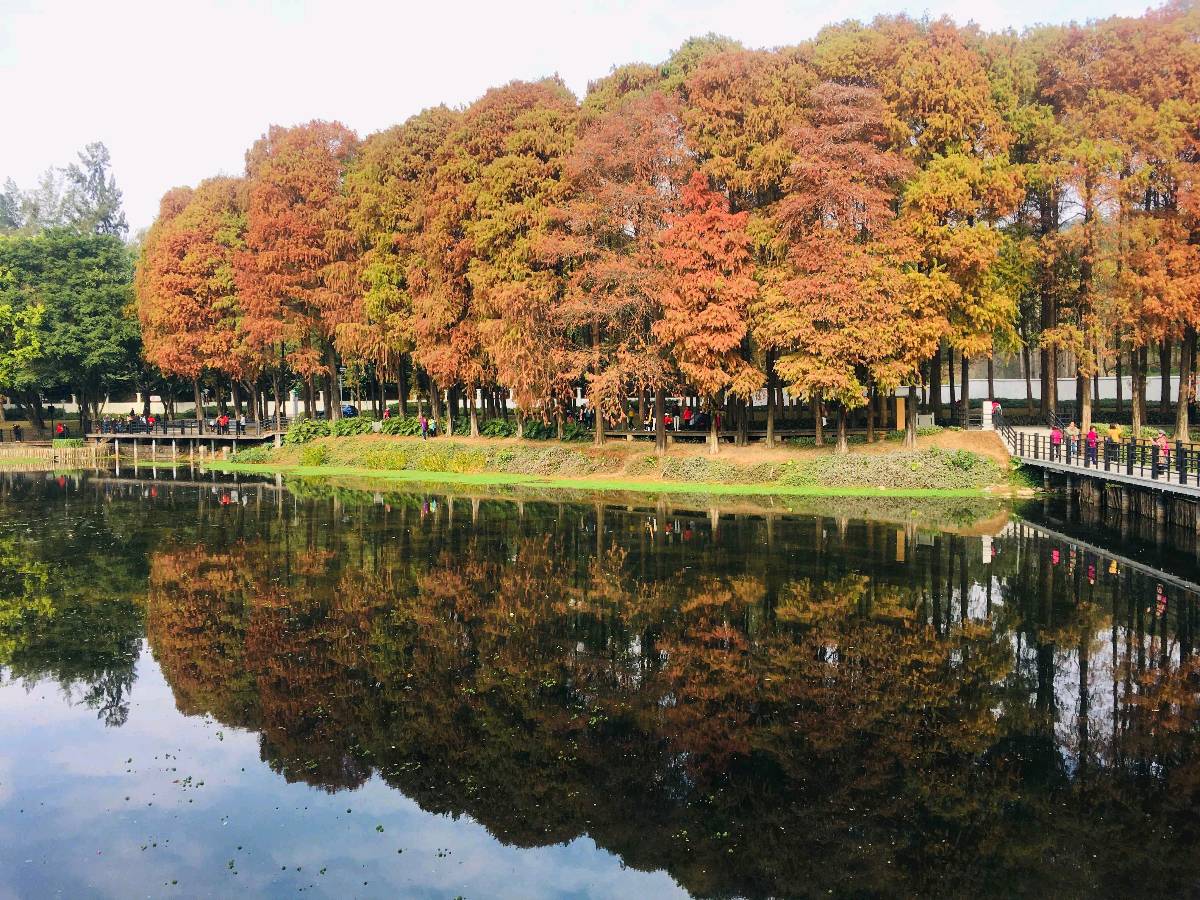 《名家名篇》《九江文学社：北京头条》著名军旅作家许峰先生佳咏《初冬南粤天气随感》诗说/邓三君（图2）