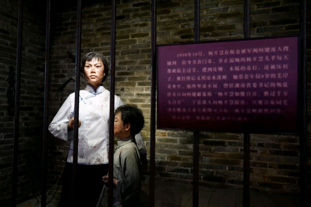 古塔之音 ‖【写给润之的一封信】作者/杨开慧 朗诵/月亮船 声音者 音频合成/富民（图11）