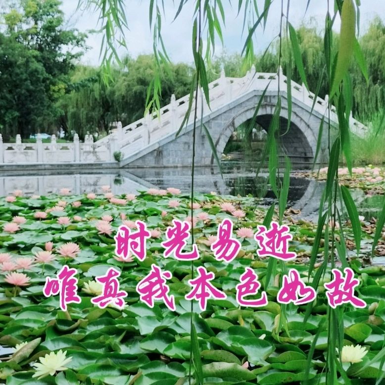《九江文学社：北京头条》《名家专刊》张铁军先生（吉林）佳作欣赏【总第1972期】（图6）