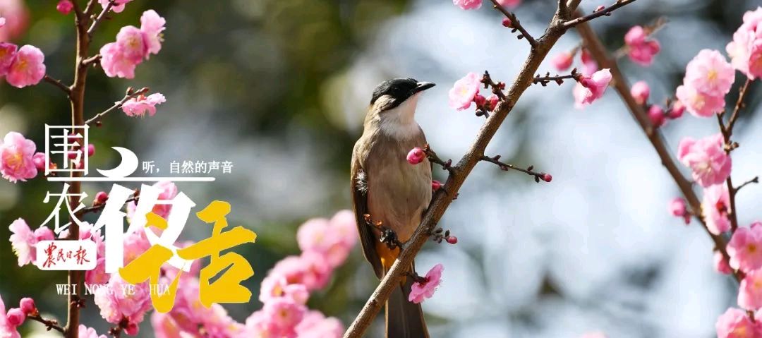 【重磅推出 携笔从戎】鲁坡//晚岁唯思报国恩（图5）