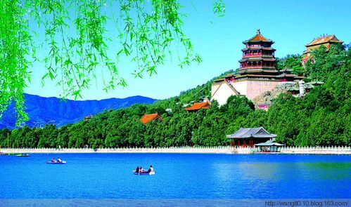【重磅推出 携笔从戎】鲁坡//晚岁唯思报国恩（图11）