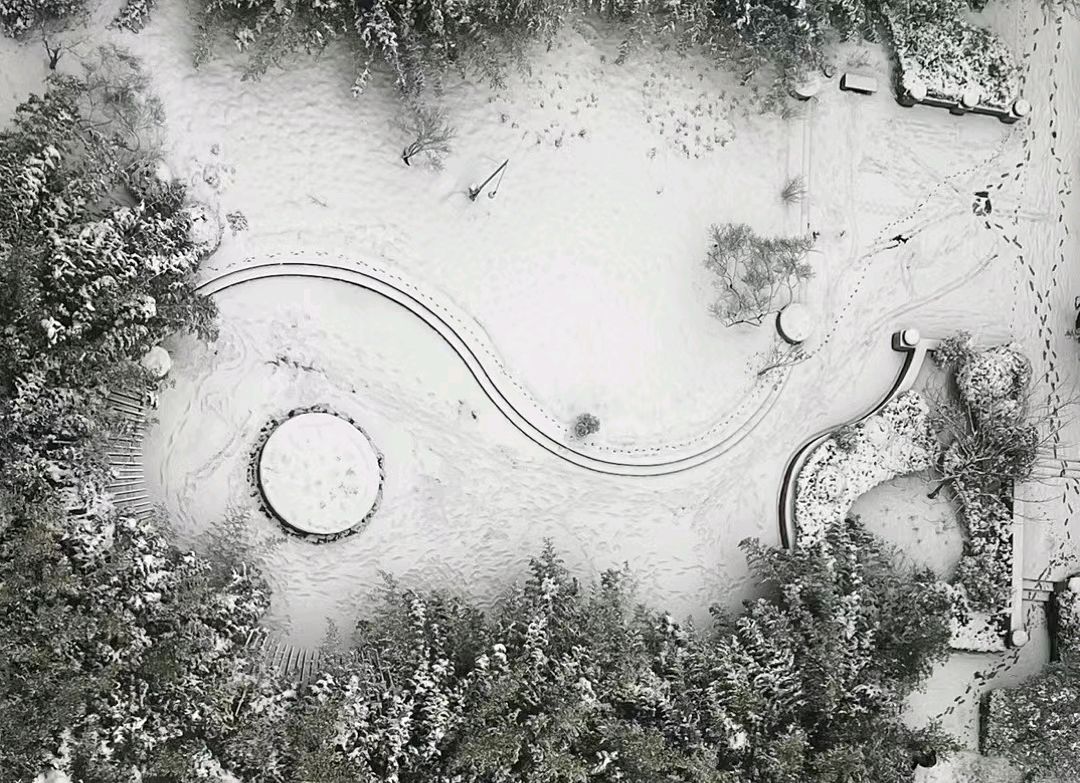雪 天花（图2）