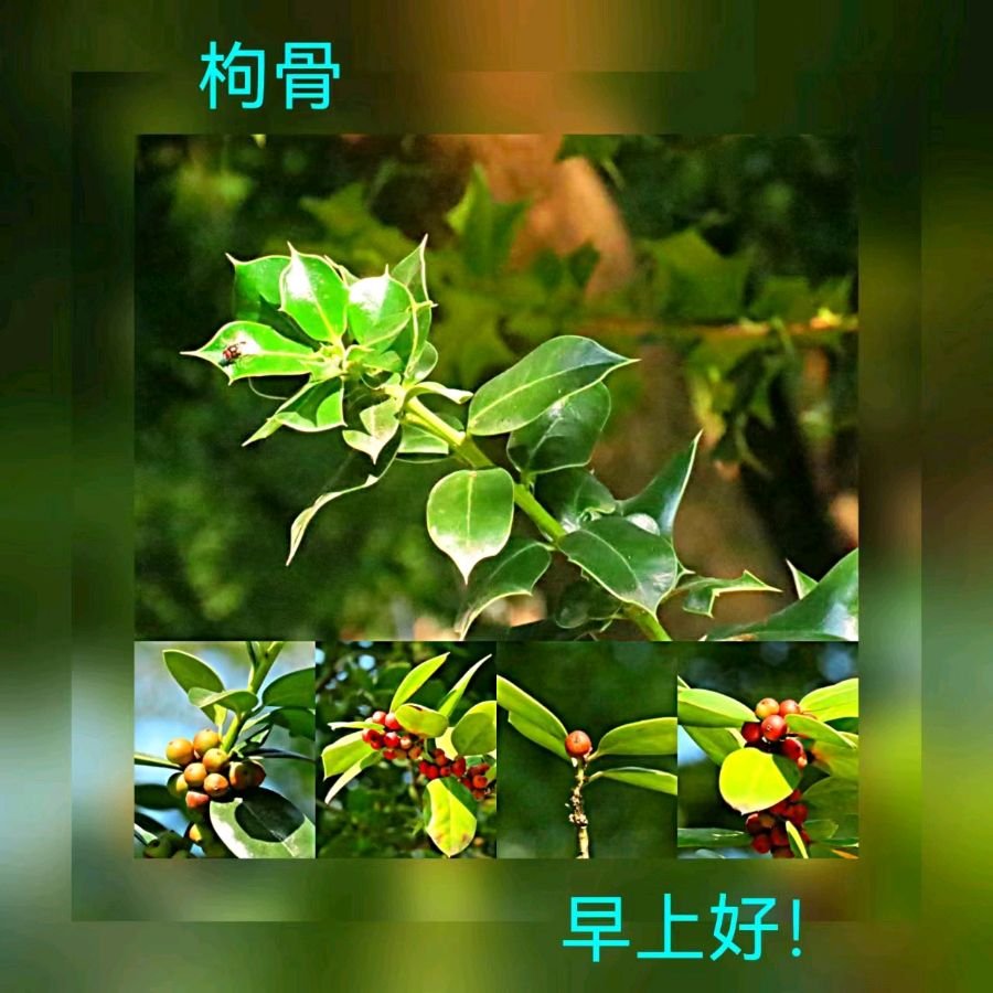 联机全球发布马洪武作品欣赏（图264）